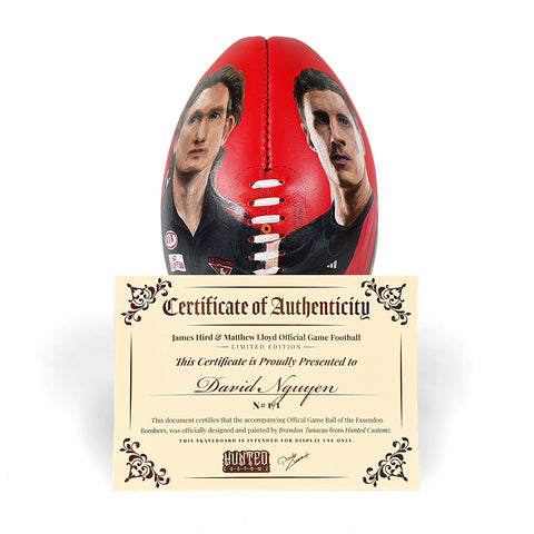 JAMES HIRD & MATTHEW LLYOD, HAND PAINTED GAME BALL (commissioned).